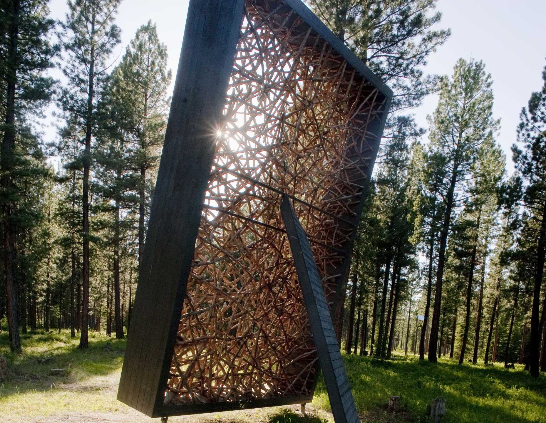 Sculpture in the Wild